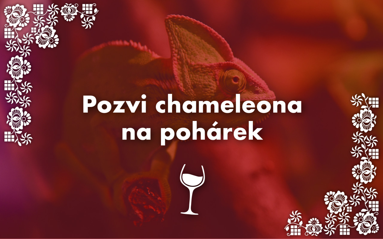 Podpořili jste zvířata ze Zoo Hodonín