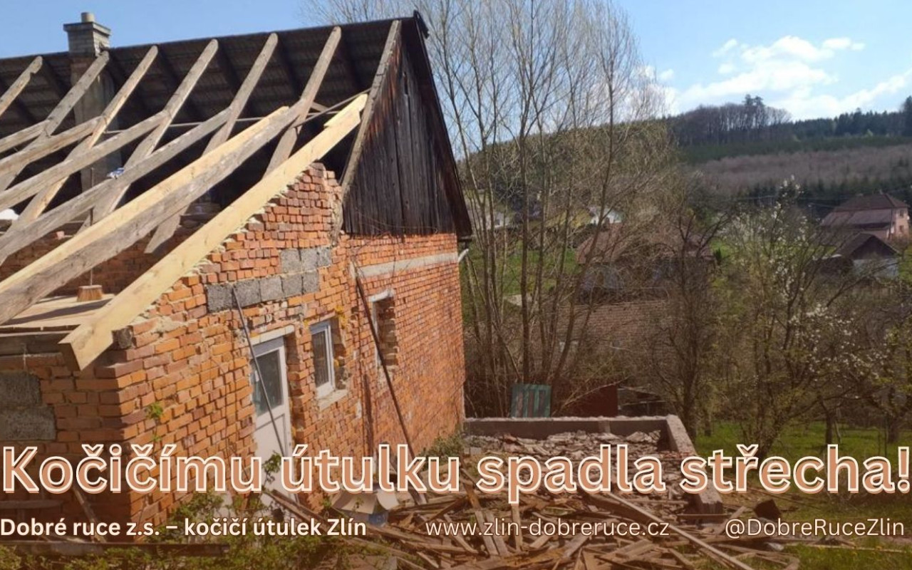 ‼️ Spadla nám střecha - sbírka na novou střechu kočičího útulku ‼️ 🐈🏡