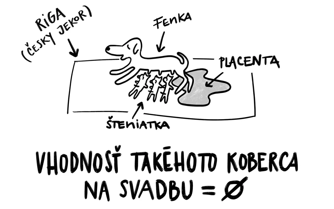 Pomozte nám vydat knihu "Vzal sis Slovenku".