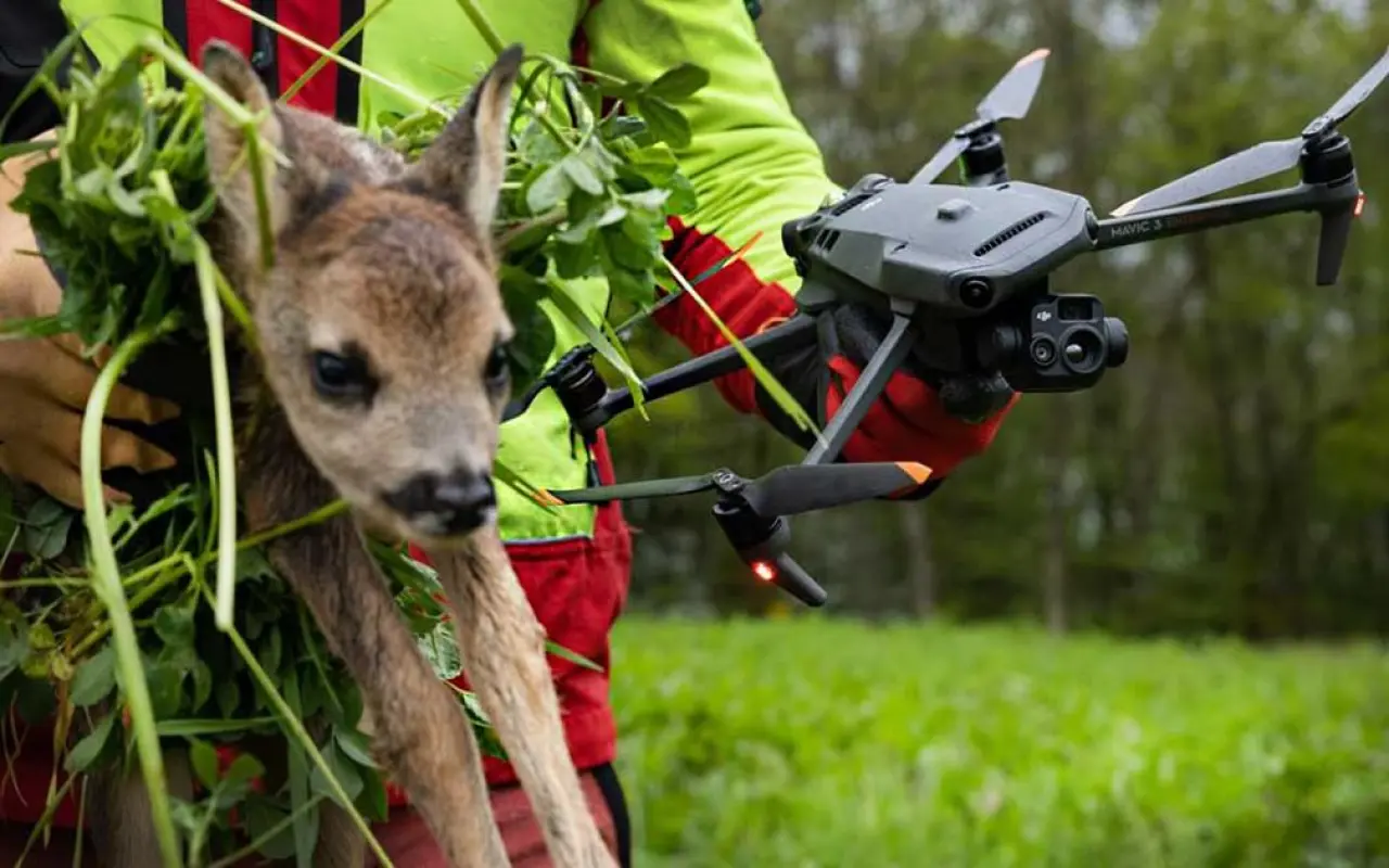 Dron pro záchranu srnčat před sečením