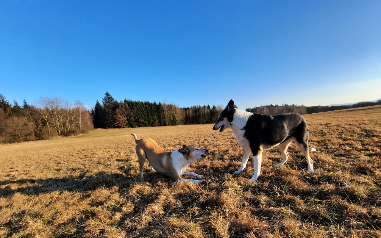 Pomohli jste Mařence zase běhat