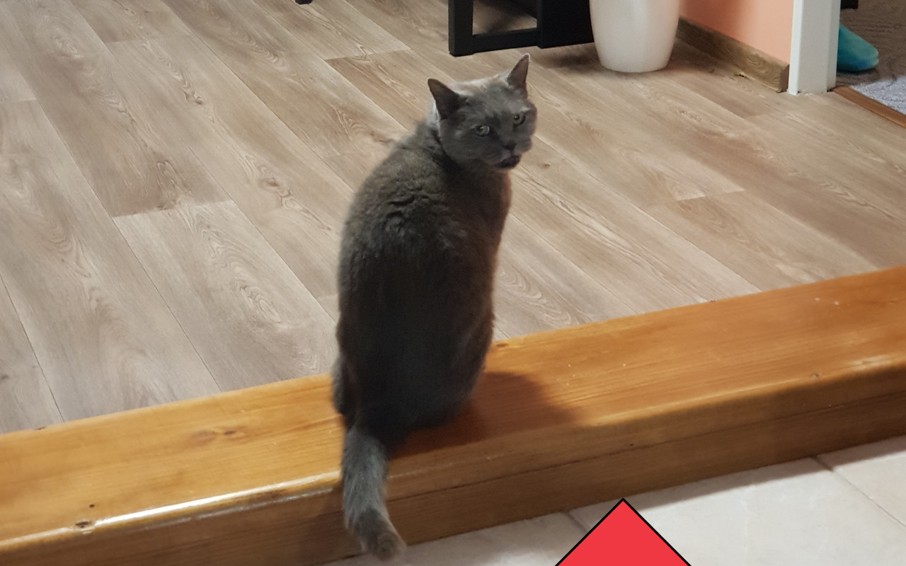 Složili jste se na bezbariérové bydlení pro Filípka a jeho rodinu