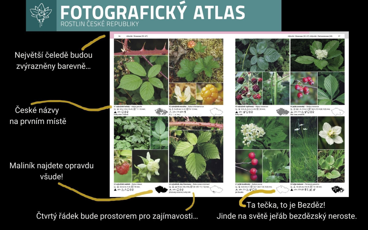 Fotografie všech českých rostlin v jedné KNIZE? Pojďme to dotáhnout!