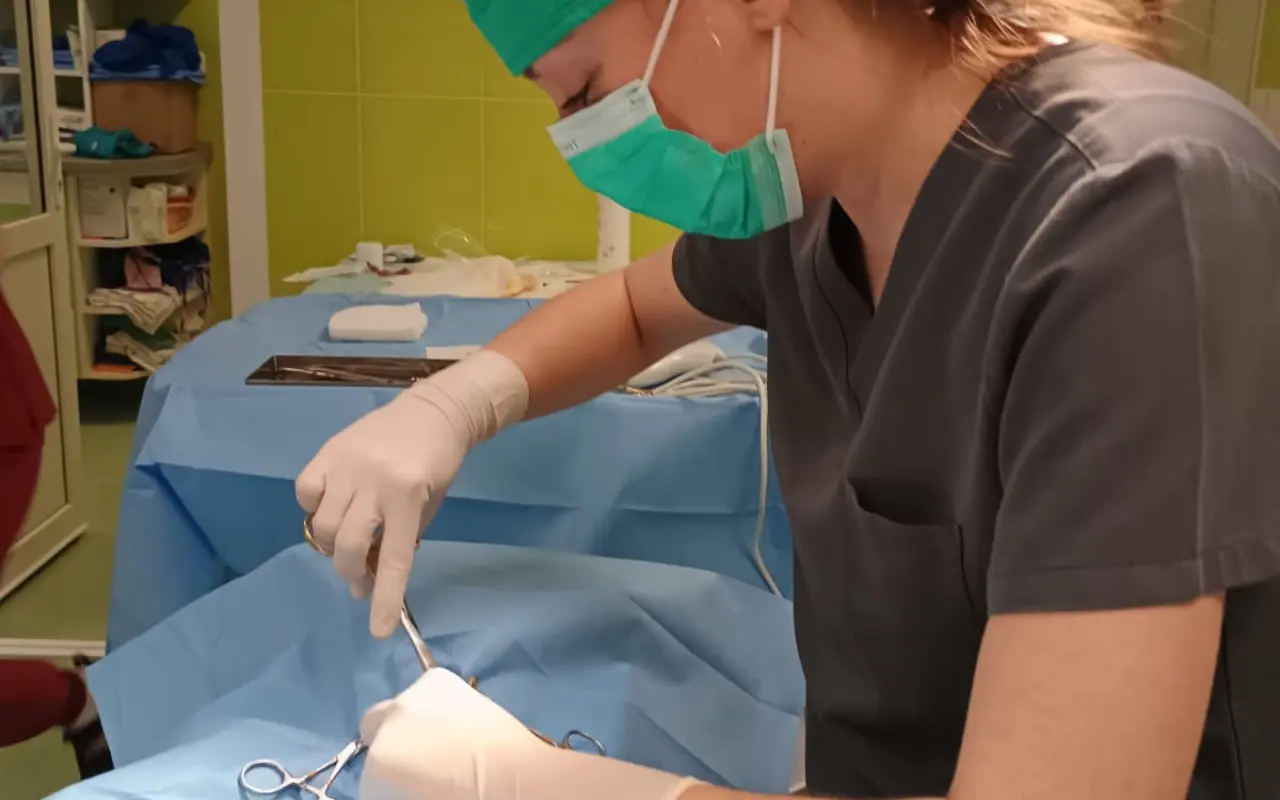 Pomohli jste Sluníčku a kočkám v Ústeckém kraji