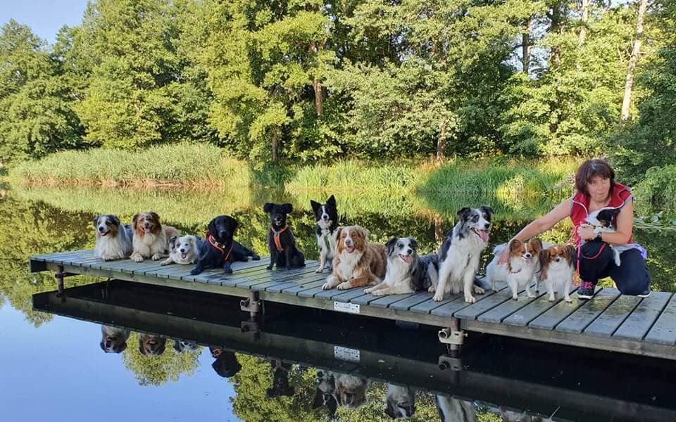 Kynologická hala FelixCanis