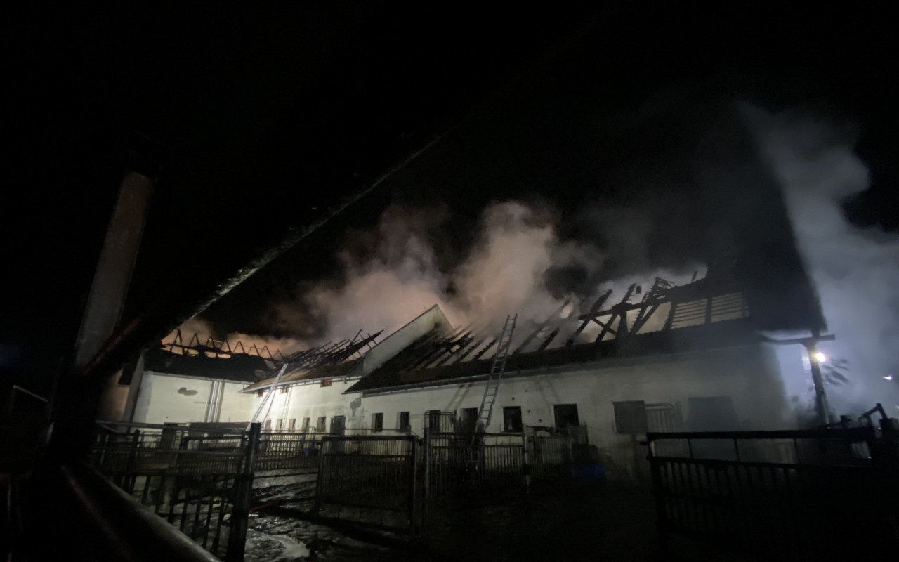 Přispěli jste na výstavbu nové stáje pro dobytek po požáru