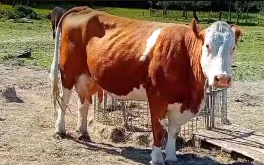 Pomohli jste Jitušce ke šťastnějšímu životu