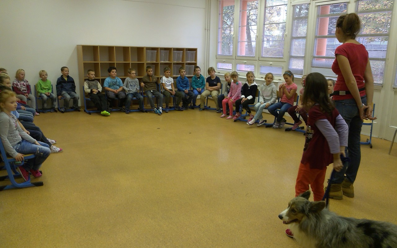Canisterapie CANTES v krajích ČR jako sociální rehabilitace