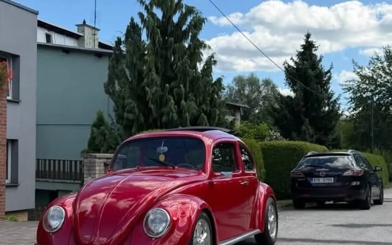 main photo image