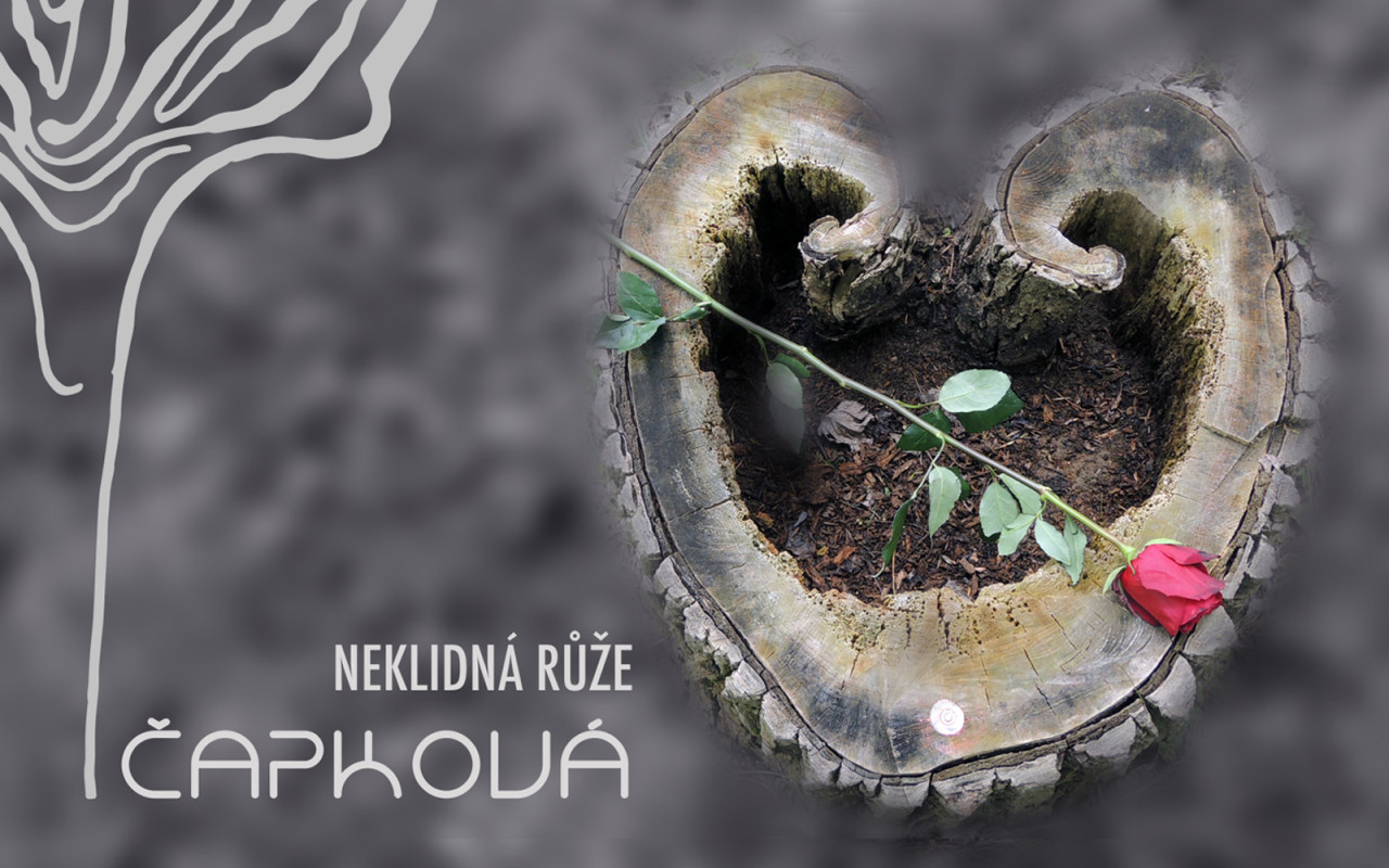 Kniha NEKLIDNÁ RŮŽE - příběh neobyčejné ženy, se kterou znovu zatoužíte žít naplno