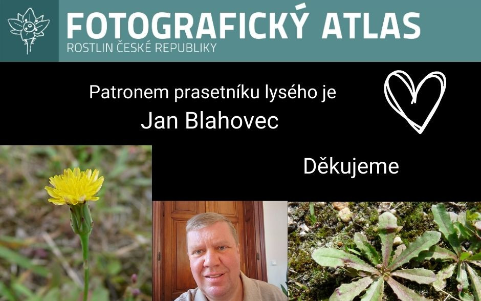 Fotografie všech českých rostlin v jedné KNIZE? Pojďme to dotáhnout!