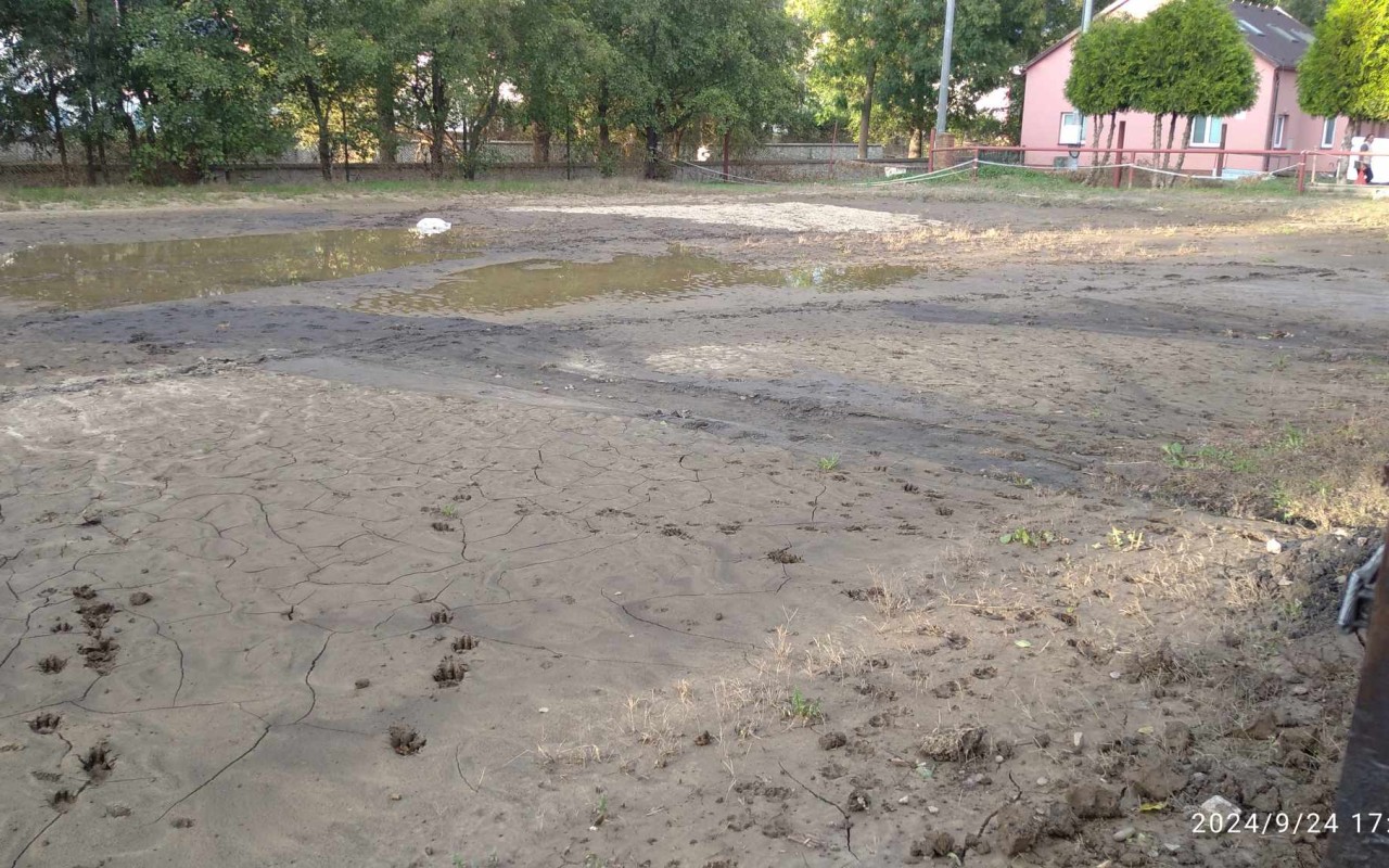 Pomohli jste naléhavé žádosti o pomoc pro koně zasažené povodní