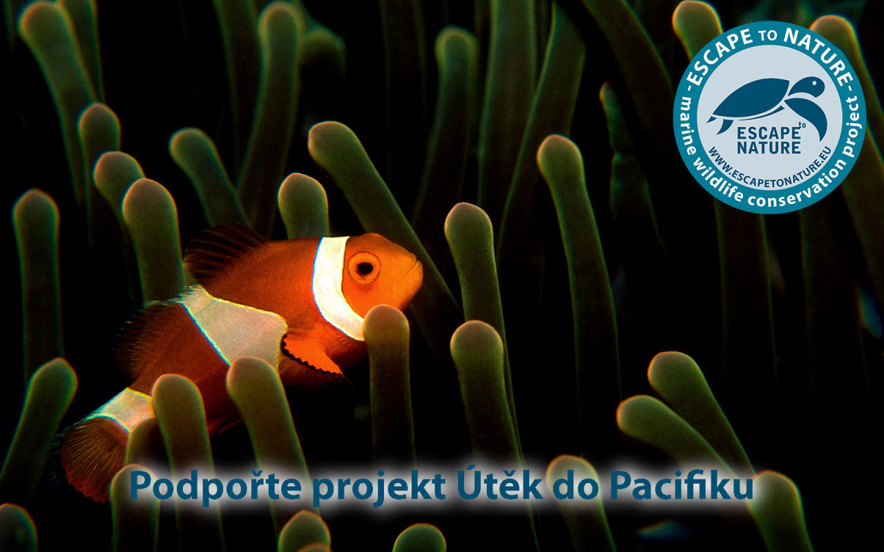 Útěk do Pacifiku - Papua Nová Guinea