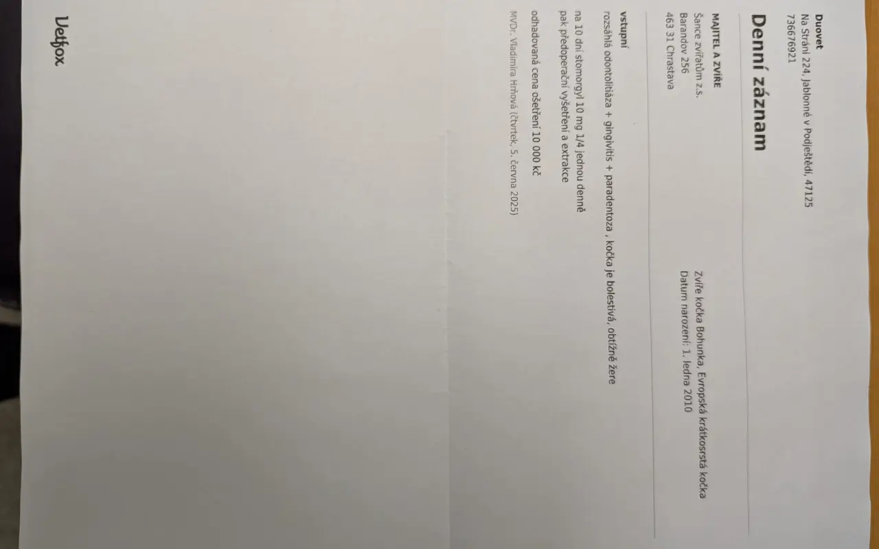 Pomohli jste Bohunce od bolesti zubů