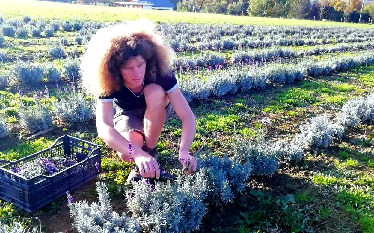 Pomozte s rozvojem levandulové farmy - odpočinkové zóny nejen pro rodiny a děti