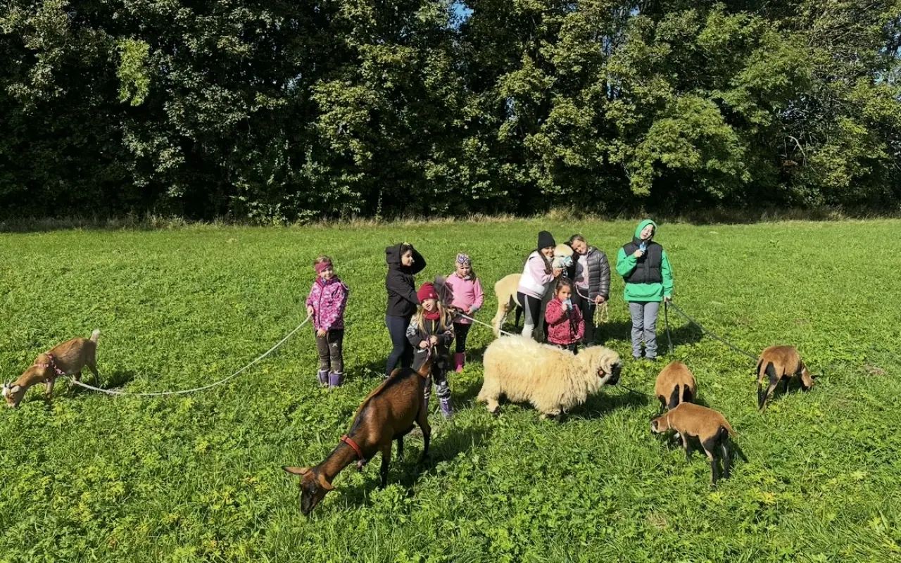 Pomohli jste beránkovi Knedlíčkovi opět běhat s dětmi