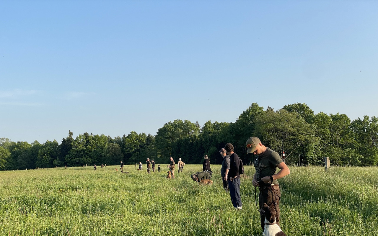 Složili jste se na dron pro záchranu srnčích mláďat při senoseči 🌿