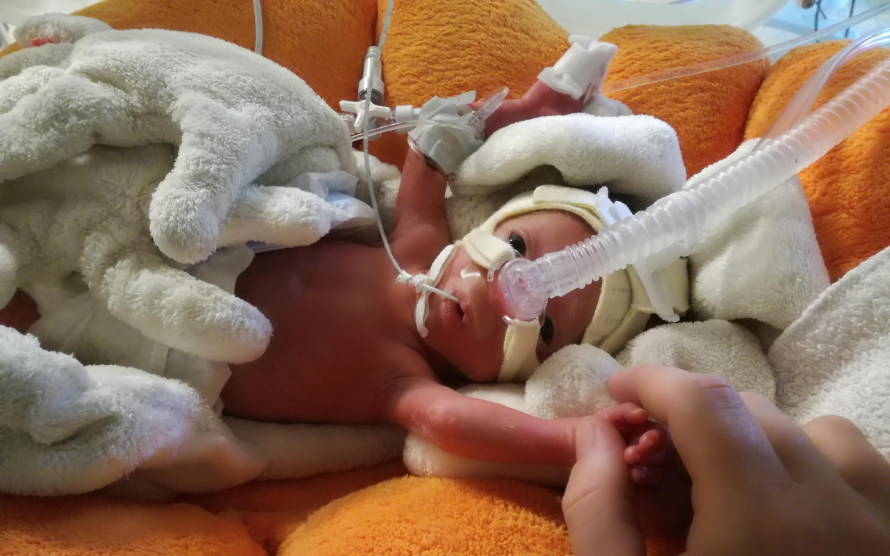 Pomozte Šimonkovi vypilovat chůzi,první slova a aby dohnal své vrstevníky