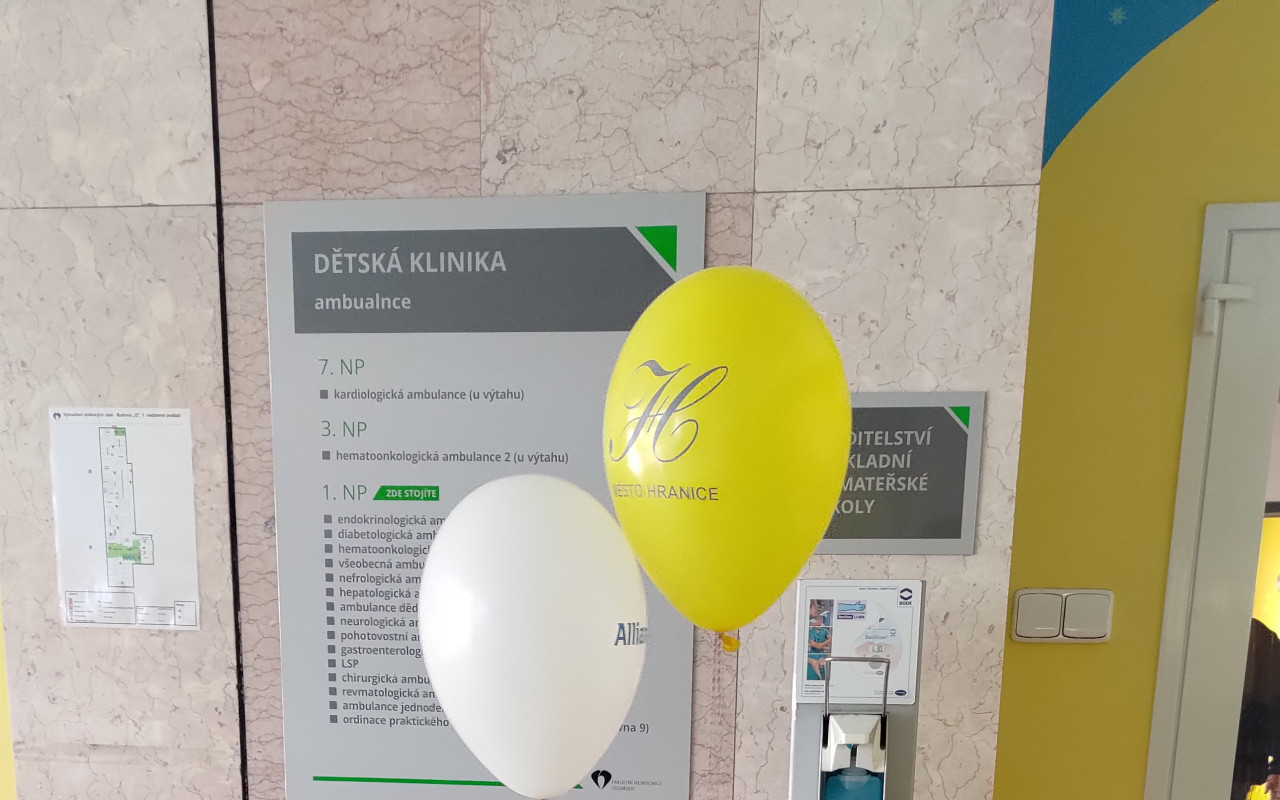 Pro Barušku naší bojovnici na velké auto a rehabilitace