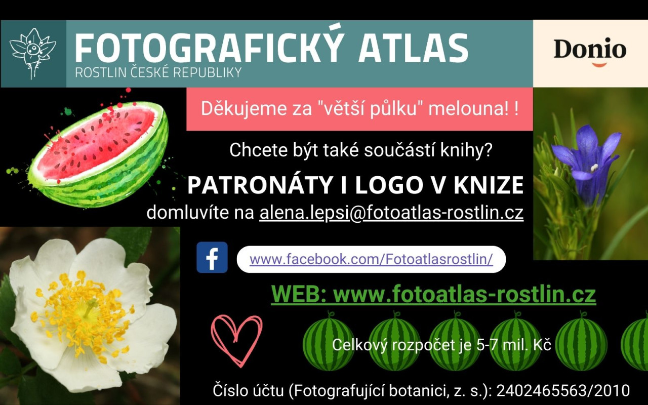 Fotografie všech českých rostlin v jedné KNIZE? Pojďme to dotáhnout!