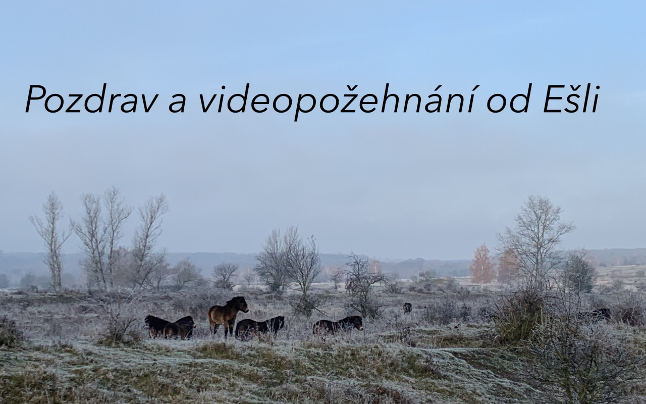 Podpořte první videoklip, “pražské Američanky ze Slovenska”, zpěvačky Ešli!