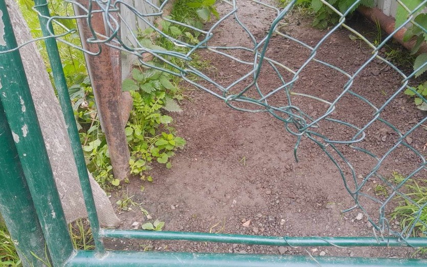 Pomohli jste přispět na opravu poničeného areálu psího útulku