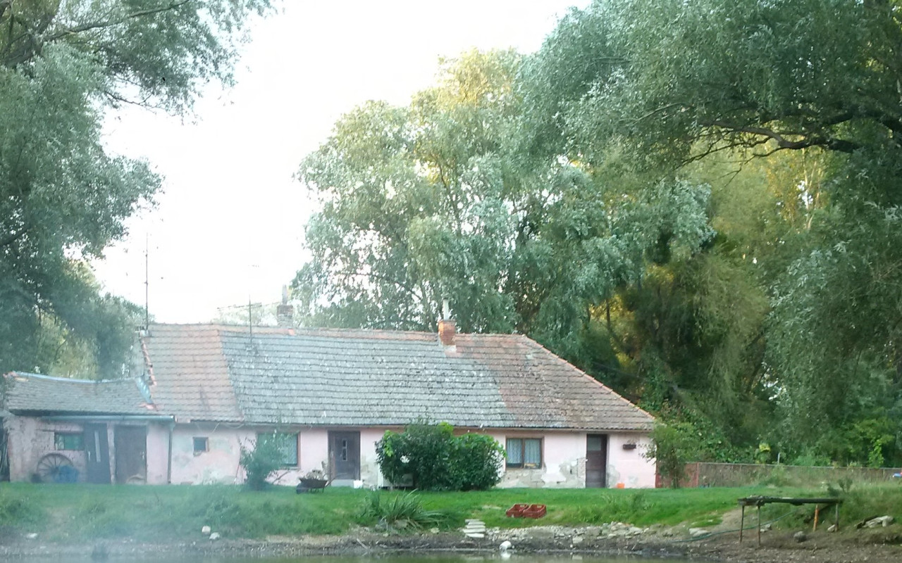 Dočasný přístav pro lidi a zvířata