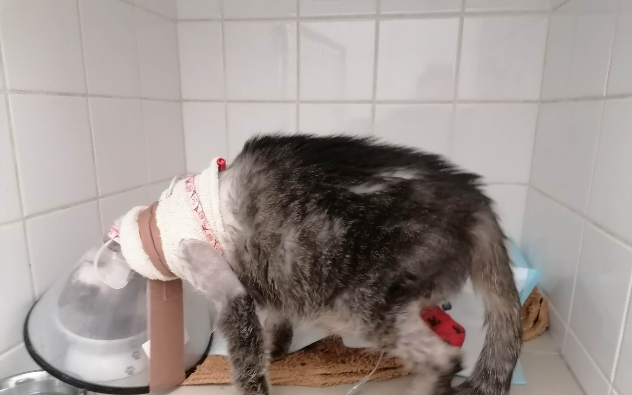 Podpořili jste projekt HOPE