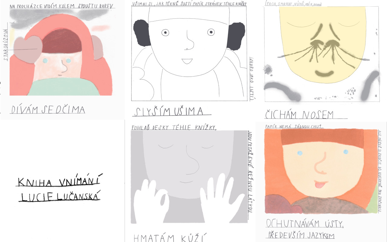 Kniha vnímání - dětská kniha o smyslech