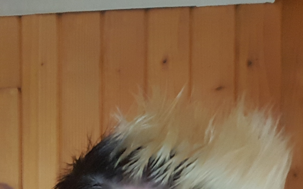 Pomoc Monice v boji s rakovinou