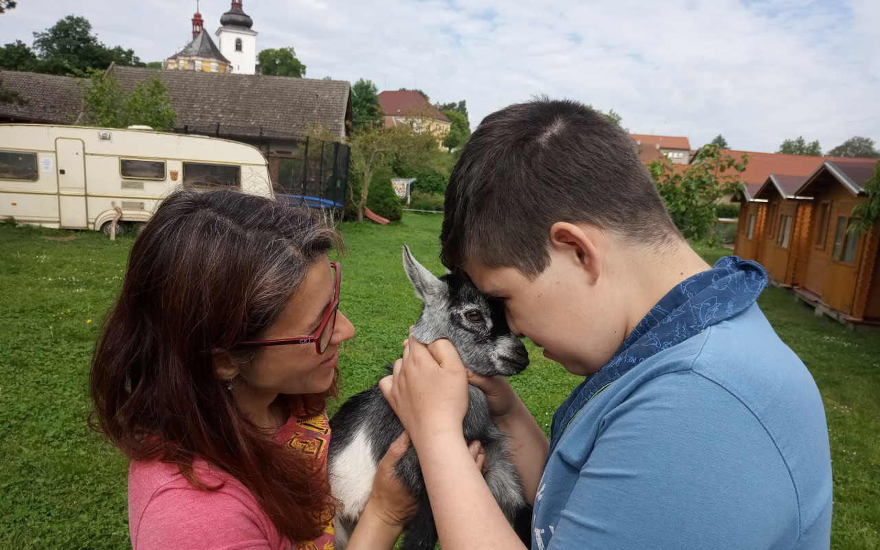 Auto plné zvířecí lásky a radosti