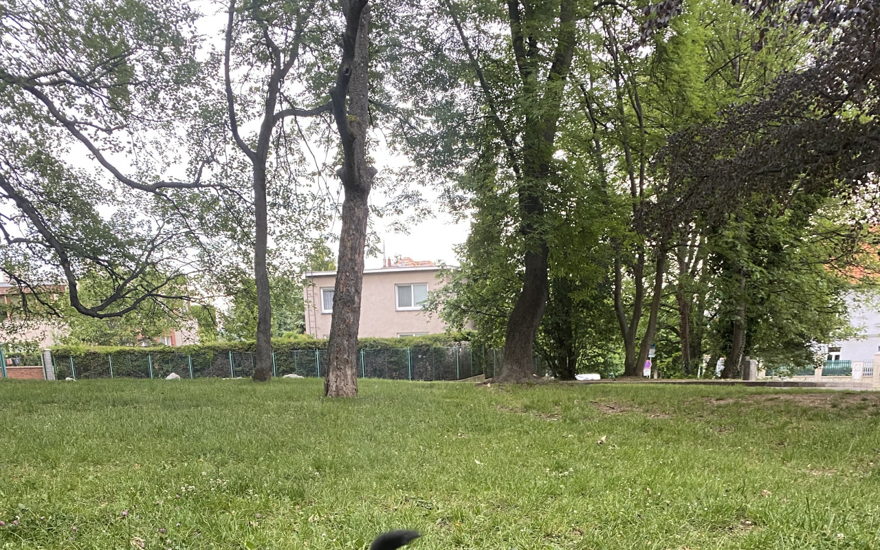 Pomohli jste Bobíkovi
