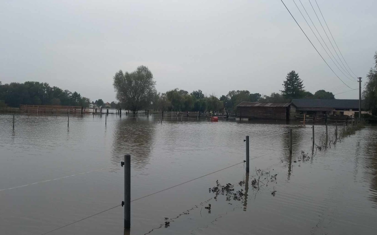 Pomohli jste dětem zpátky na ranč