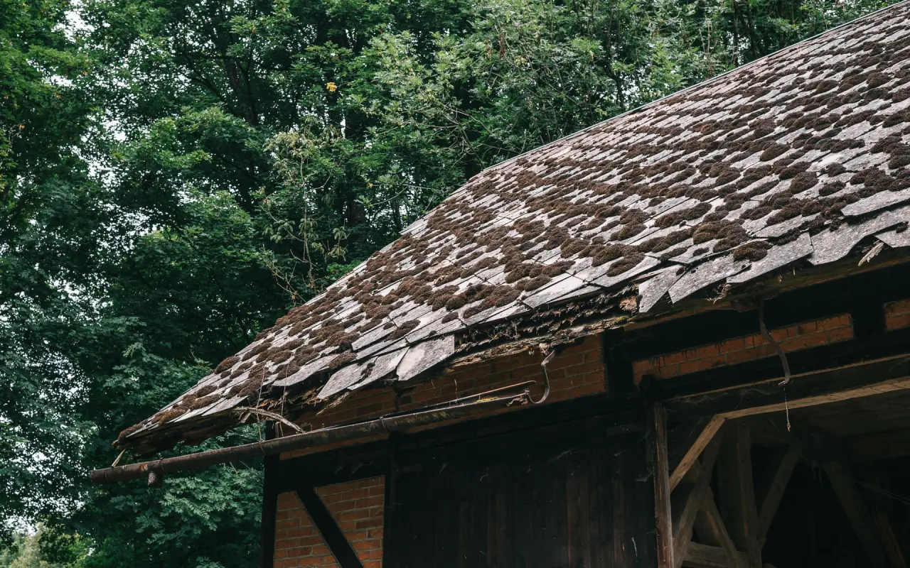 Podpořili jste Plášilovu novou střechu