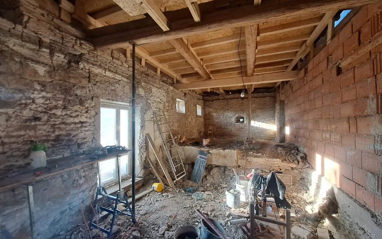 Postavme společně útulek pro kočky a psy