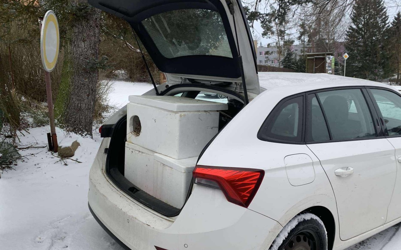 Pomohli jste pořídit auto pro útulek