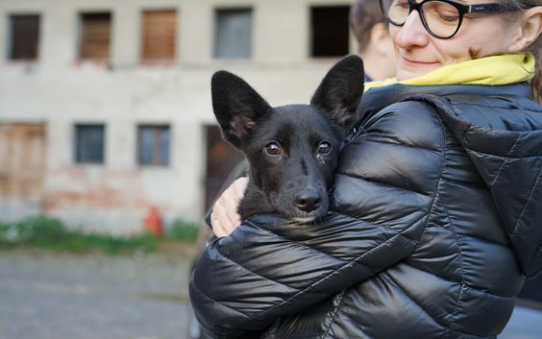 Prostory Handipet se rozpadají pod rukama