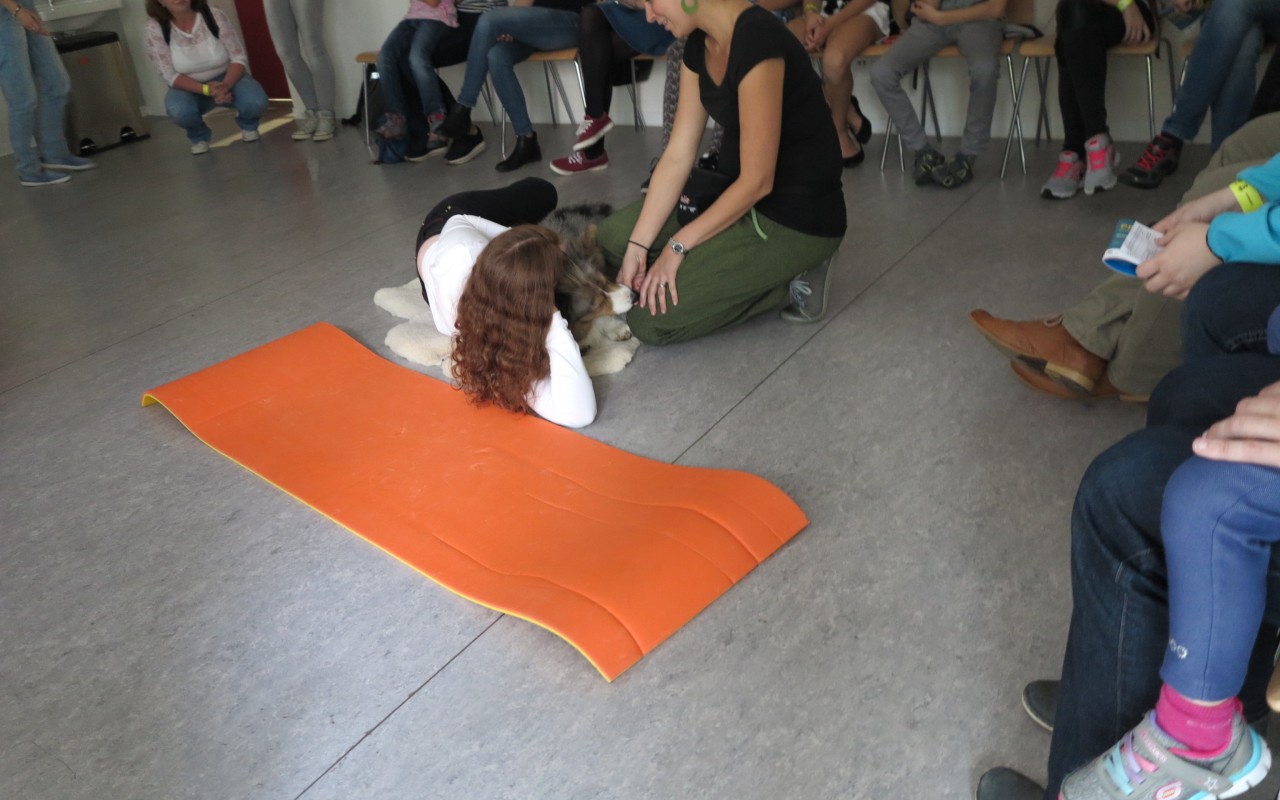 Canisterapie CANTES v krajích ČR jako sociální rehabilitace