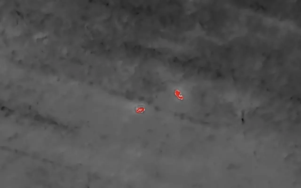 Létající záchranář – DRON na záchranu srnčat a dalších mláďat před sečením