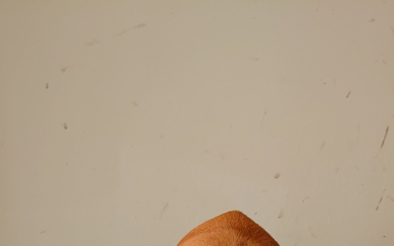 Darujte Coffey čas