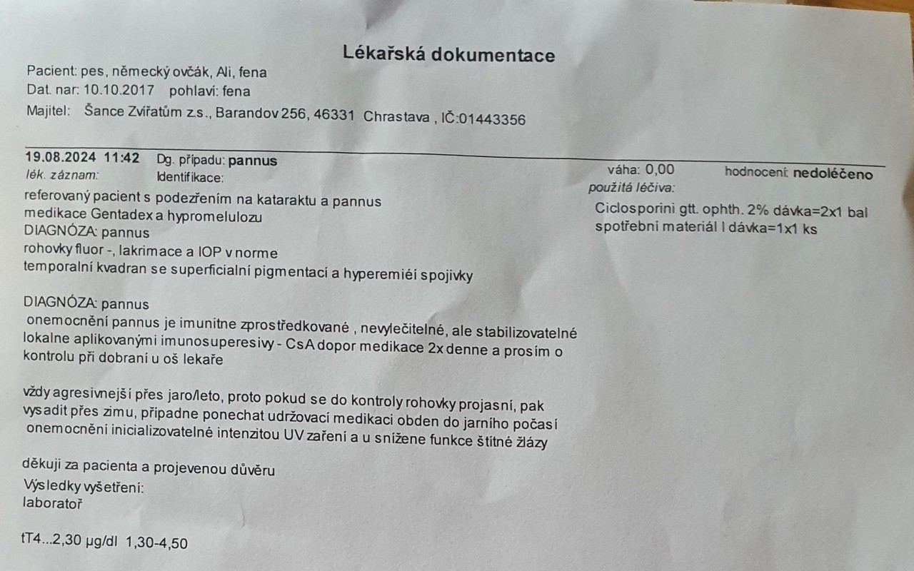Pomohli jste přispět na vyšetření pro Alinku