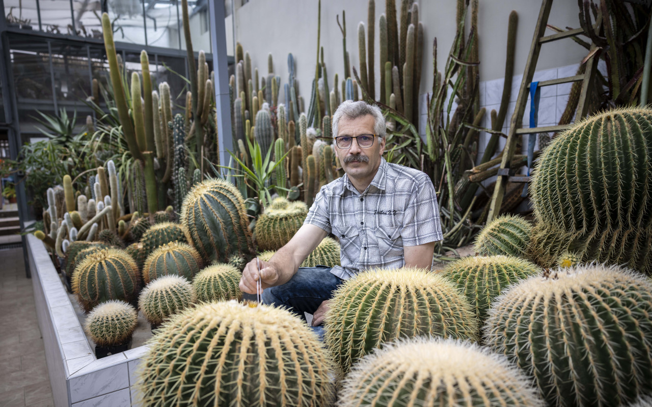 Pomozte zachránit unikátní botanickou zahradu před mrazem