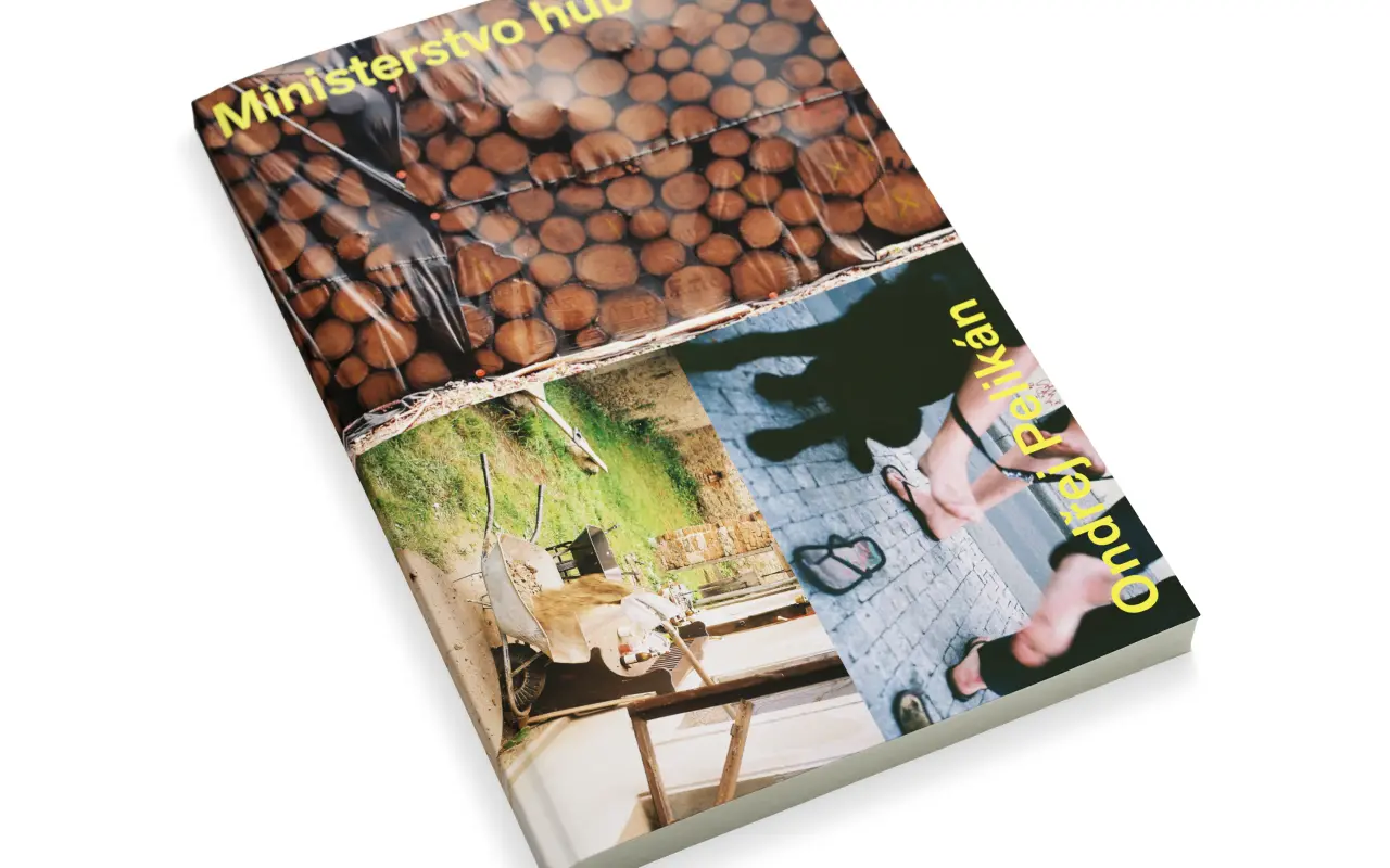 cover image