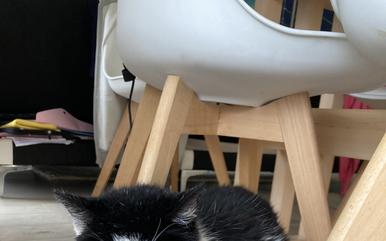 Pomohli jste přispět na léčbu micky Pepinky