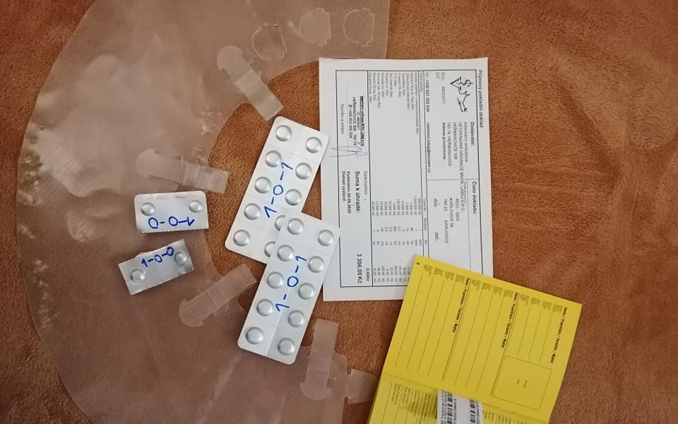 Záchrana azylového domu Nazdárek pro nechtěná a nemocná zvířátka