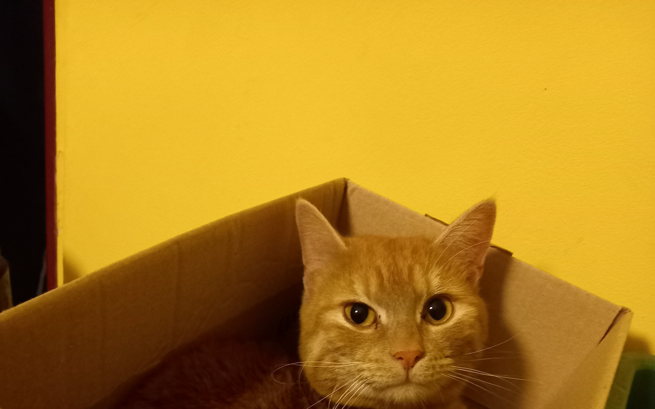 Pomoc pro Macíka