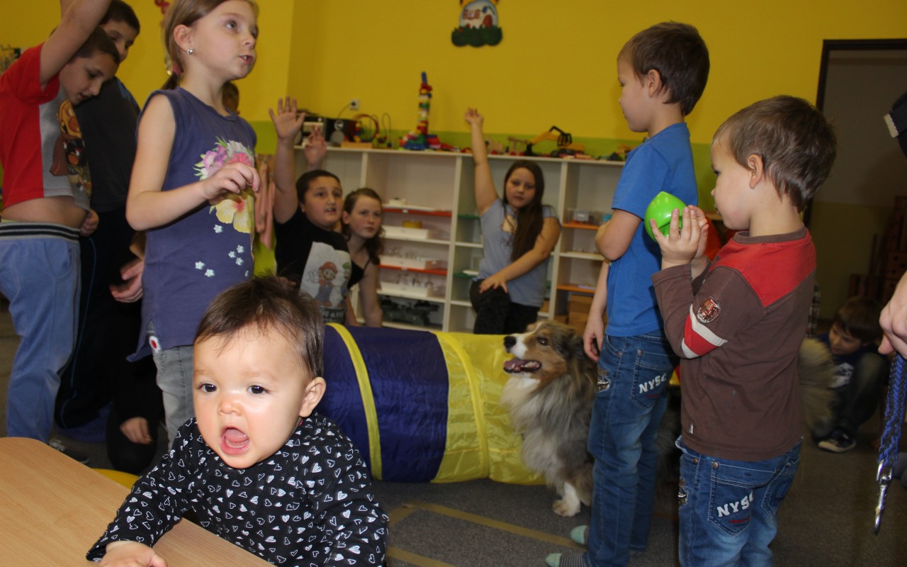 Canisterapie CANTES v krajích ČR jako sociální rehabilitace