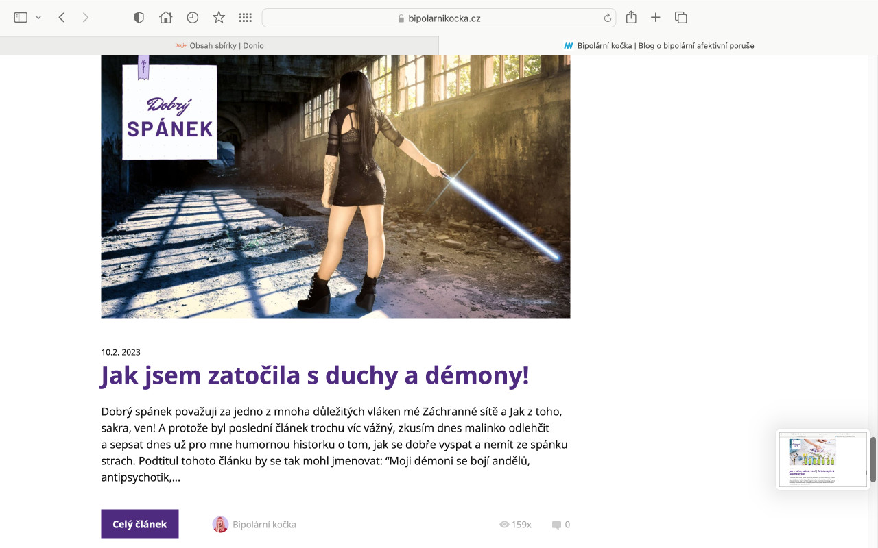 Podpořme blog Bipolární kočka - pomoc nemocným s maniodepresí