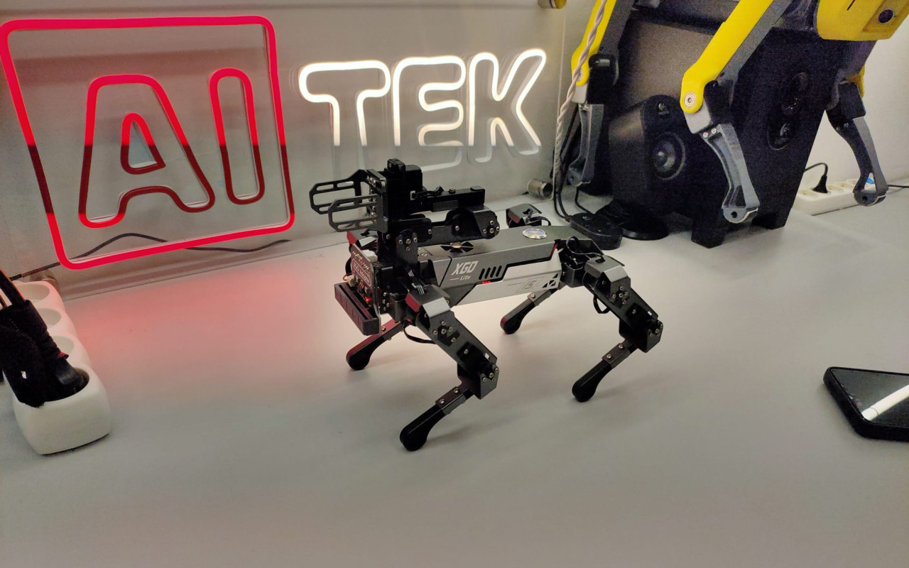 Rozvoj kroužku robotiky a programování