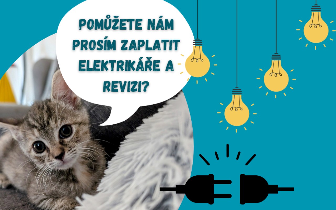 Složili jste na elektrikáře pro kočičky